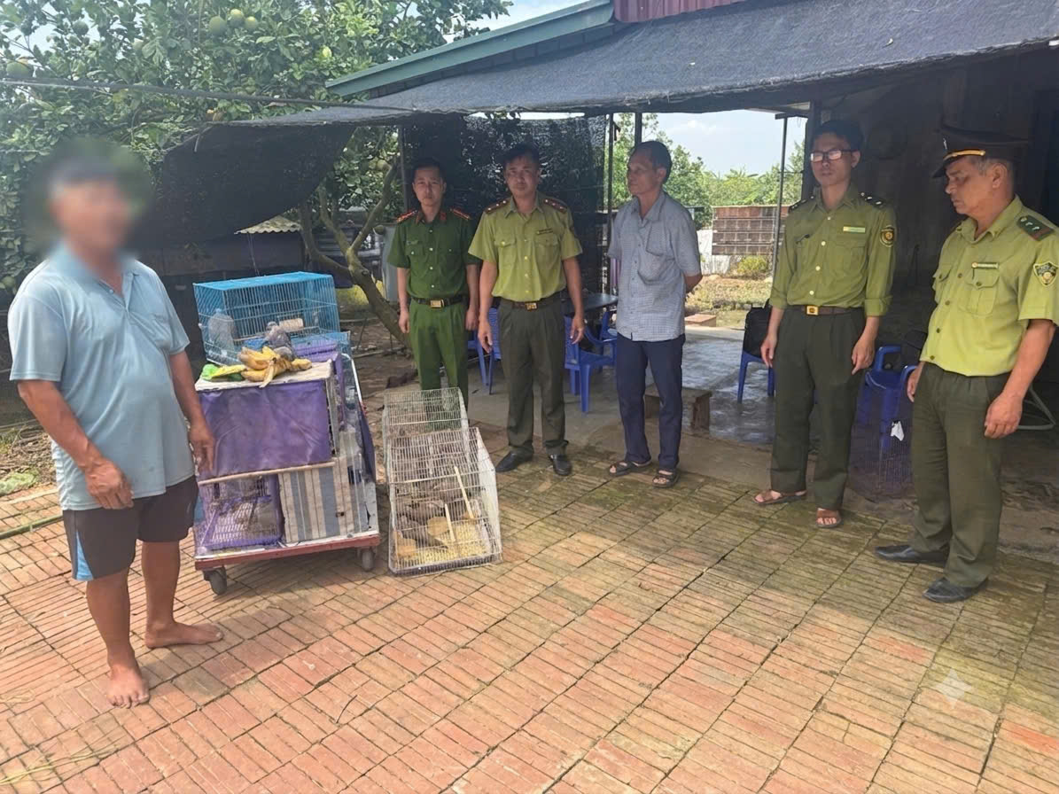 Công an xã Thanh Hà: phối hợp phát hiện, xử lý 01 vụ vi phạm quy định bảo vệ động vật hoang dã